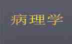 病理科述工作计划8篇