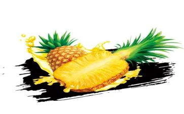 菠萝教案7篇