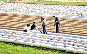 播种希望演讲稿优质7篇