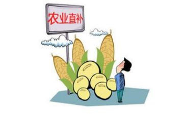 大学生未就业补贴申请书6篇