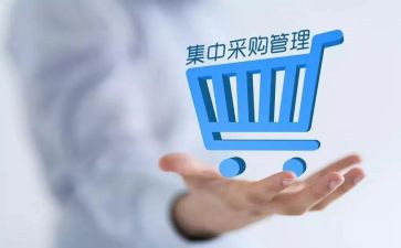 采购工作总结及2024年工作计划推荐6篇