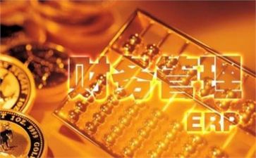 2024年财务总结报告精选7篇