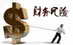 2024年财务总结报告8篇