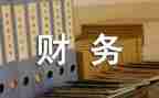 2024年财务科上半年工作总结参考5篇