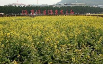 参观才溪心得体会精选6篇