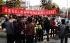 2024年县残联述职报告5篇