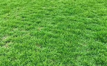 烟草公司经涅述职报告8篇