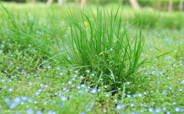 烟草年终工作总结5篇