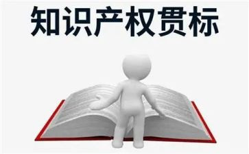 知识产权庭工作总结7篇
