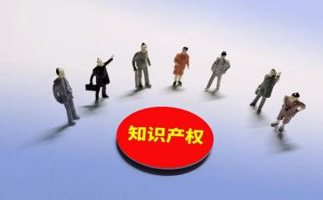 小知识产权工作总结5篇