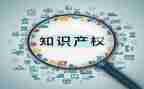 全国知识产权宣传周活动总结6篇