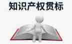 知识产权庭工作总结7篇