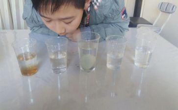 沉浮教案精选8篇