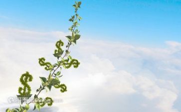 青清成长心得体会参考5篇