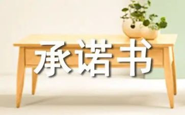 个人承诺书简单模板6篇