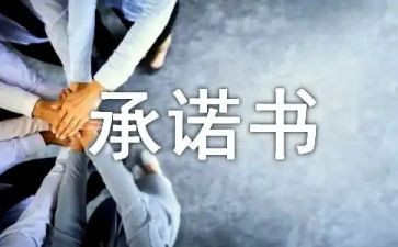 发放工资承诺书8篇