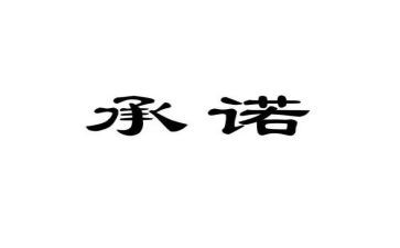 投标服务承诺书模板5篇