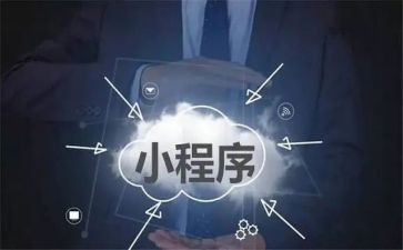 程序工作总结5篇