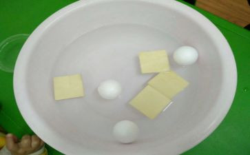 幼儿园中班沉与浮教案5篇