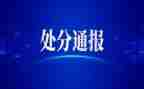 不处分申请书范文8篇
