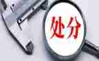受处分申请书优质8篇
