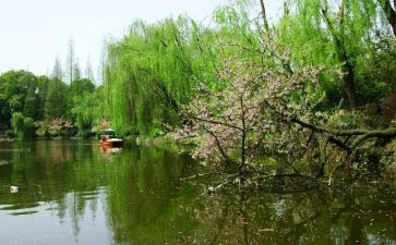 过春节的演讲稿600字5篇