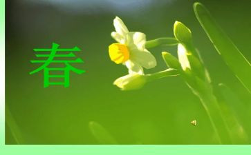 演讲关于青春的演讲稿推荐8篇