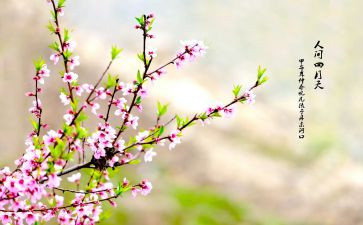 小班春季月计划最新6篇