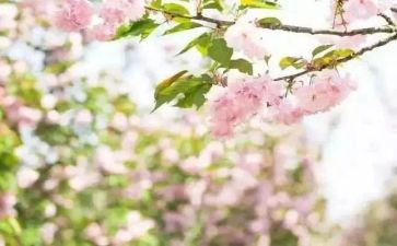 青春期性健康教育心得体会8篇