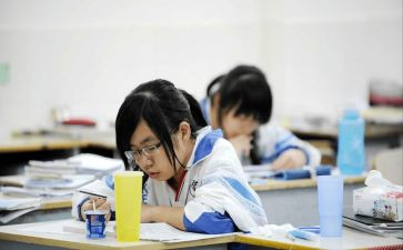 2024年初中生物教师个人总结优秀8篇