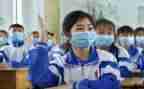 初中生物教师个人年度总结6篇