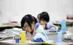 初中生物教师个人教学工作总结8篇