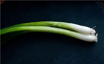 葱和蒜教案科学反思通用6篇