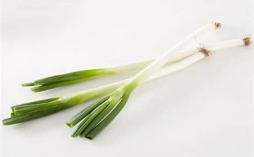 葱和蒜教案科学反思7篇