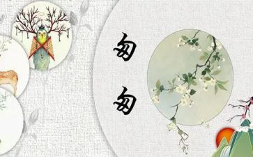 小学语文匆匆的教案5篇