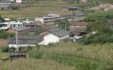 村社区环境卫生工作总结5篇