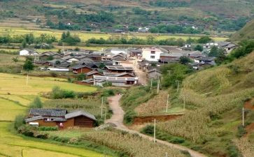 村医生个人述职报告6篇