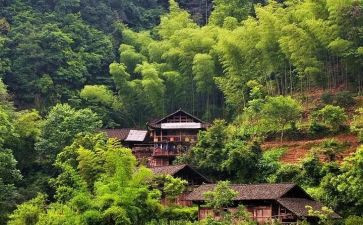 村社区2024年度工作总结优质5篇