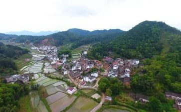 村招商工作总结最新7篇
