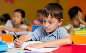 2023年幼儿园大班个人工作总结优质7篇