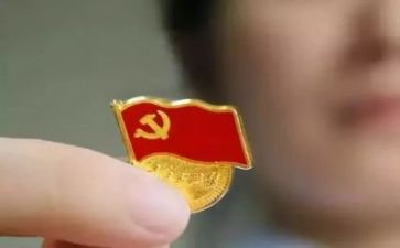 党训心得体会800字6篇
