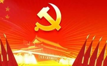 处党委工作总结6篇