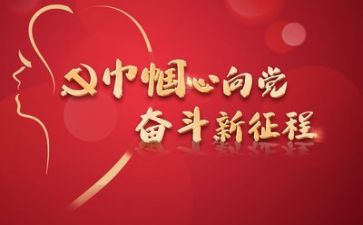 处党委工作总结模板6篇
