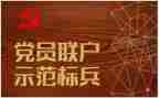 观看党旗颂心得体会5篇