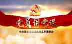团党委工作总结8篇