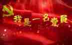 党调查报告通用5篇