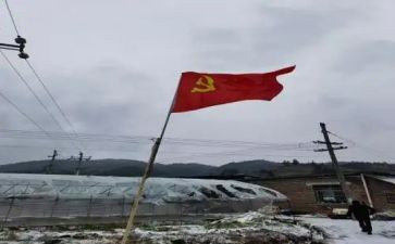 大学生党员转正思想汇报推荐8篇