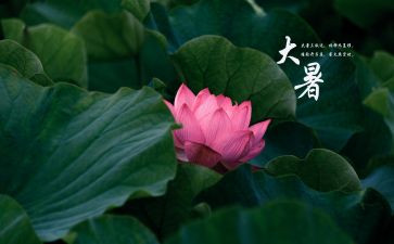 写大暑的作文精选6篇