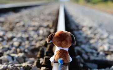 等待素材作文通用6篇