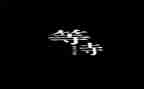 等待的作文8篇